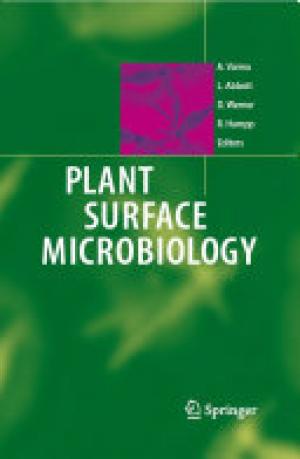 Plant surface microbiology